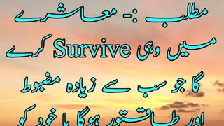Survival of the fittest