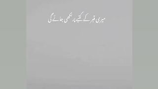 gazal