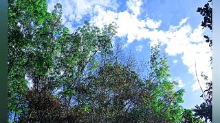 Blue sky