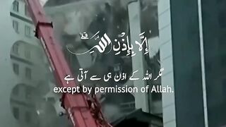 اسلامی ویڈیو