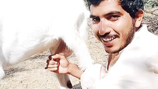 Kisan bakrion k sath #like my video