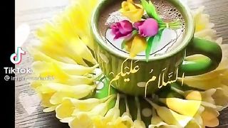 Good morning