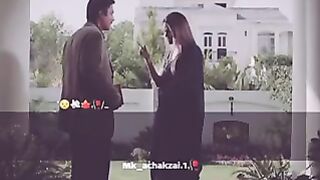 Great advice to paari zaad