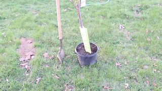 Please watch verry interesting .....gardening video
