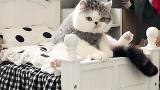 Beautiful video ????