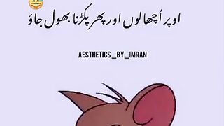 Funny video