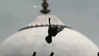 Recite 236