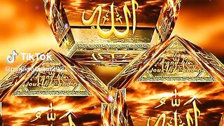 Recite 239