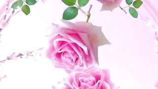 Recite 240