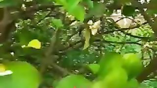 BEAUTIFUL NATURE SEEN