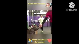 Cute Kitten And Puppy Funny Moments