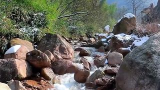Awesome video of Gallery ????