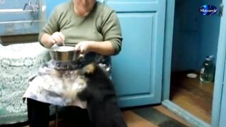 Look soon!  Puppy says MOM!  [Asking for food] Video 2023