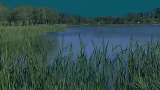 Scenery