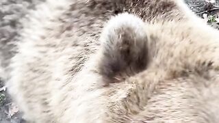 Our animals and their issues… but they are all perfect in their own way