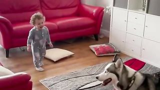 Dogi with baby