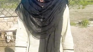 ddab5b9803e1fe222e06b1a7fb2b927e.