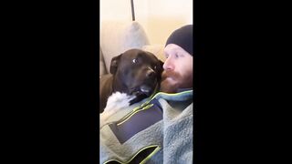 Dog and owner adorably cuddle on the couch #shorts.
