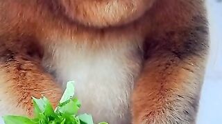Кушает салат