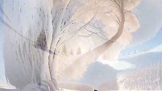 Butifull trees in the world. Butifull places in the world