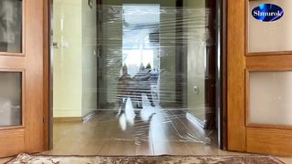 My Dogs React to the Invisible Wall Challenge! Video 2023