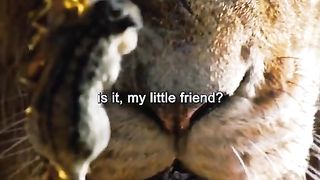 Best Movie The Loin King Super Secen Must Watch Like & Follow