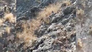 Koh e solman k pahari selsala#1plz like