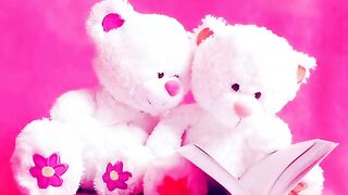 Lovely bear