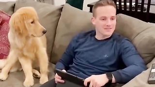 Call Your Dog's Name When They're Right Next To You ???? TikTok Compilation