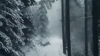 Asthetic View Of Snow Fall