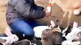 Subscribe 1000