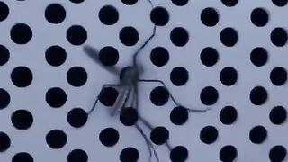 *Rs.1100/-* Electric USB Mosquito Killer (Box Packing)