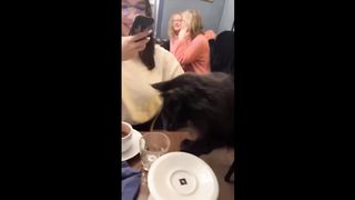 BAD DAY GONE WRONG FUNNY VIDEOS