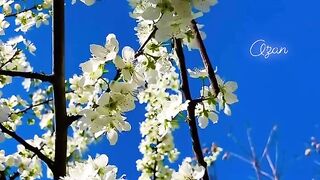 Beauty of nature