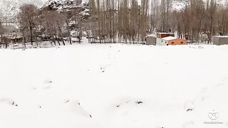 Snowfalling in my village
