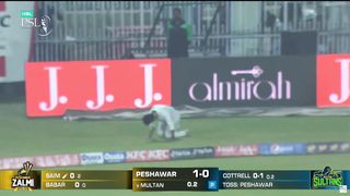 Cricket