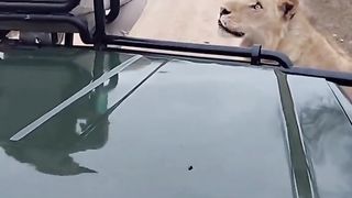 Awesome video ????