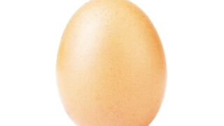 Egg layks follow