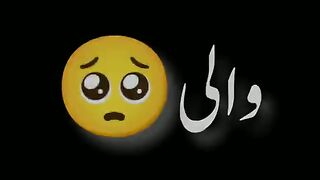 Meri chappal
