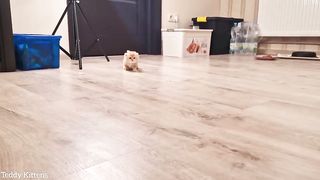 Pinky started to come out of her nest, Subscribe channel..