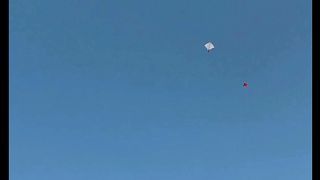 Kite in fly