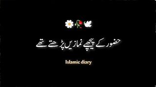 Hazoor k ilam py ehtraz munafqat hy