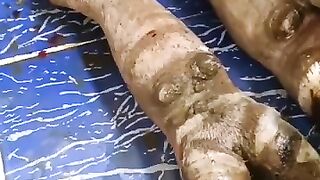 ##پریشر والے گوشت کی کامیابی کے بعد اب پیش ا خدمت ہے پریشر والے پاے