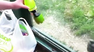 cleaver chimpanzee