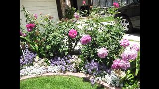 Simple Rose Garden Design Decoration