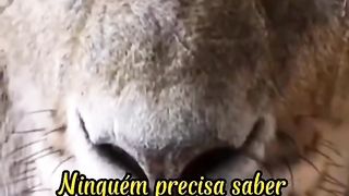 Fala só pra Deus