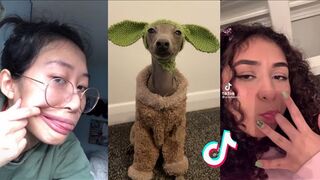 TIK TOK MEMES That made my dog "AwaAwa" ????????