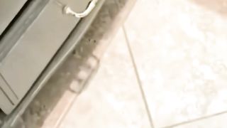 Funny animals |  Adorable cats and dogs 2023 #18
