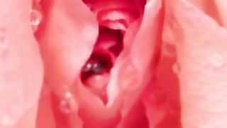 How to stimulate a girl for   / clitoral eraction /how female eraction works/female 's sensitive part of body