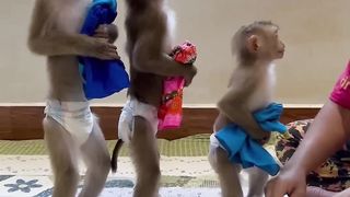 Awesome video